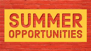 Summer Opportunities 